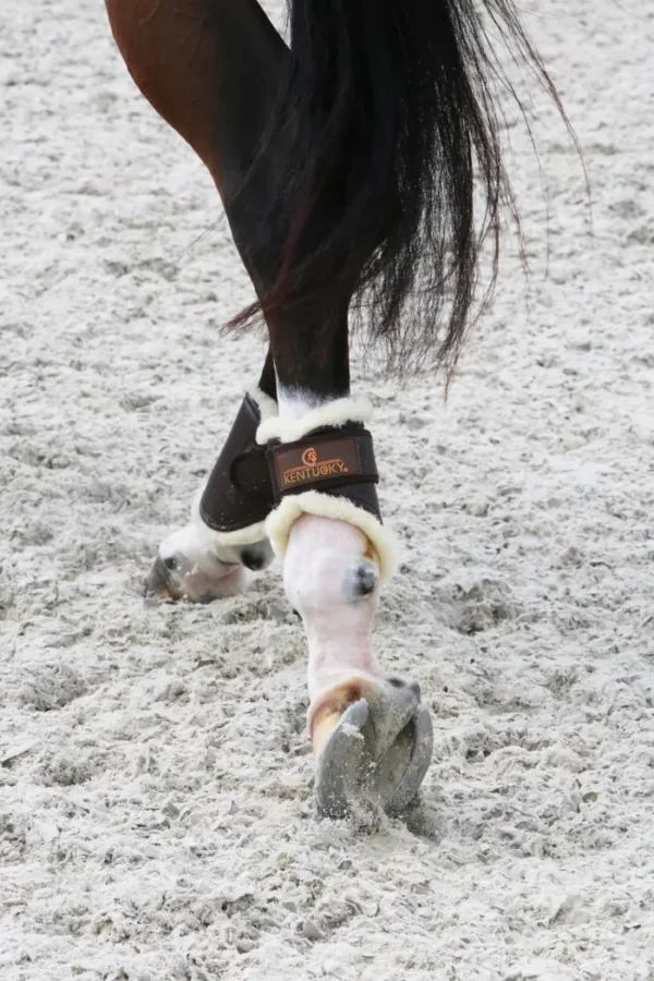 Parastinchi in Pelle Hind Short - immagine 6