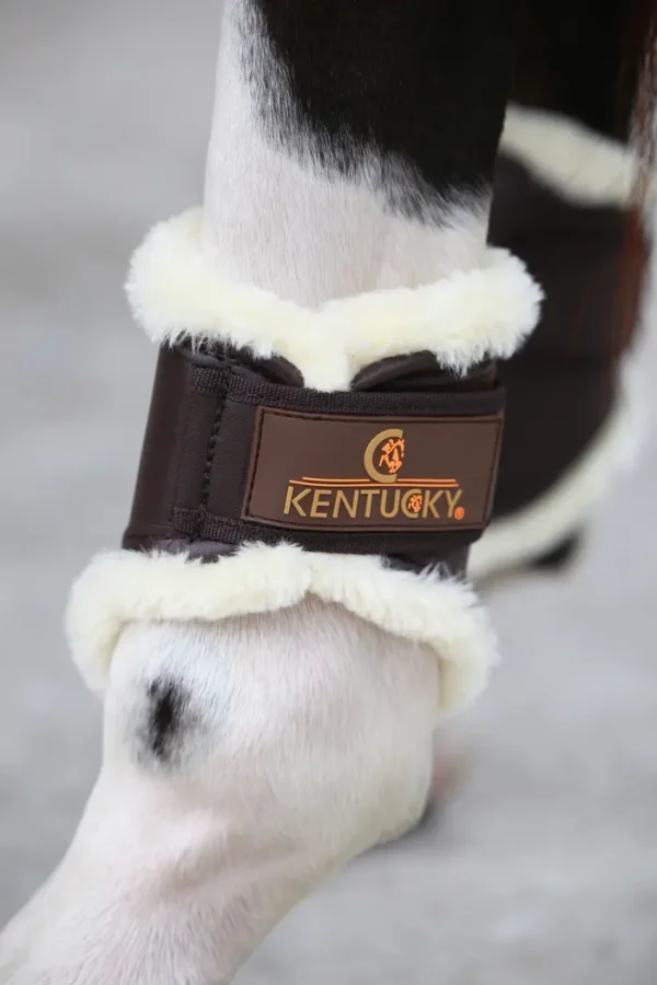 Parastinchi in Pelle Hind Short - immagine 4