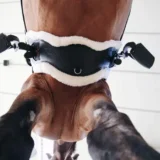 Sottopancia Anatomico Corto con Pelle di Pecora - immagine 8