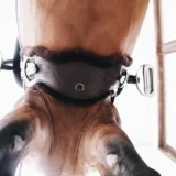 Sottopancia Anatomico Corto con Pelle di Pecora - immagine 4
