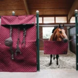 Tenda Stabile - immagine 5
