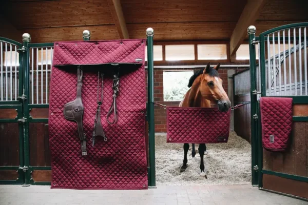 Tenda Stabile - immagine 5