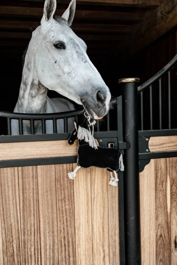 Giocattolo Pony - immagine 4