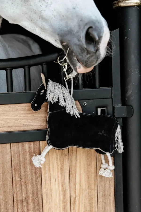 Giocattolo Pony