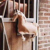 Giocattolo Pony - immagine 5