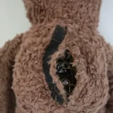 Giocattolo Orso Morbido - immagine 3