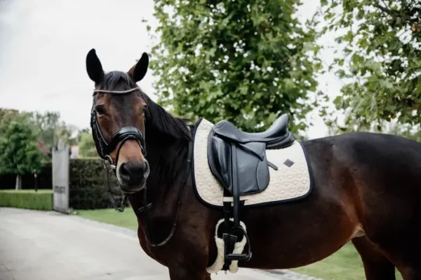 Sottosella Softshell da Dressage - immagine 4