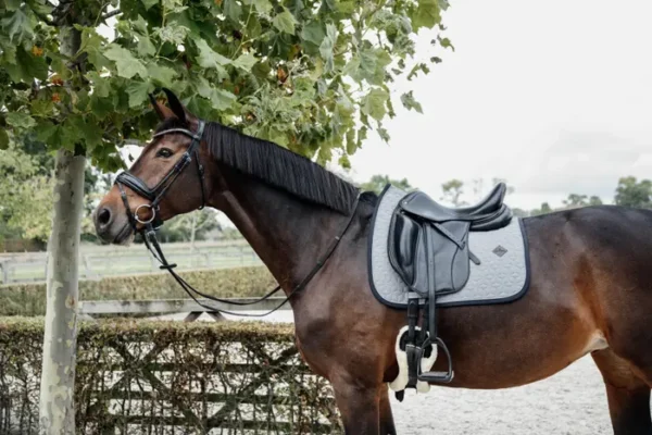 Sottosella Softshell da Dressage - immagine 9