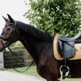 Sottosella Softshell da Dressage - immagine 13
