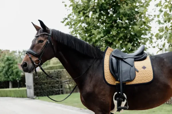 Sottosella Softshell da Dressage - immagine 13