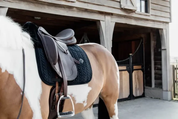 Sottosella Velvet Skin Friendly da Dressage - immagine 14