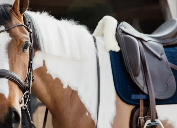 Sottosella Velvet Skin Friendly da Dressage - immagine 20