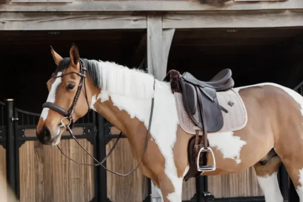 Sottosella Velvet Skin Friendly da Dressage - immagine 10