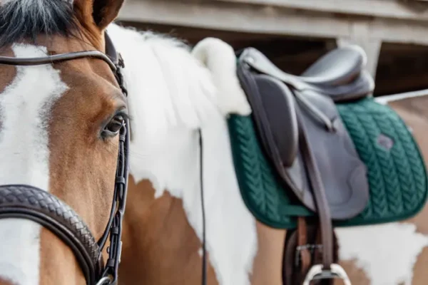 Sottosella Velvet Skin Friendly da Dressage - immagine 5
