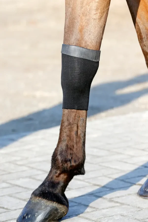 Fascia in Gel con presa Tendinea