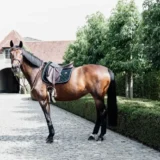 Bende in Pile Polare - immagine 21