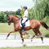 Parastinchi in Pelle Hind - immagine 3