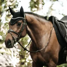 Sottosella con Perle da Dressage