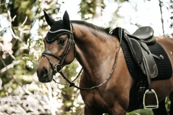 Sottosella con Perle da Dressage