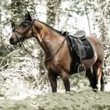 Sottosella con Perle da Dressage - immagine 3