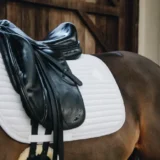 Sottosella con Perle da Dressage - immagine 10