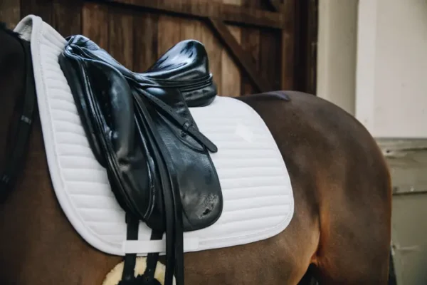 Sottosella con Perle da Dressage - immagine 10