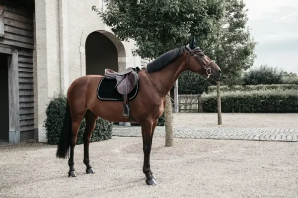 Sottosella in Velluto da Dressage - immagine 9