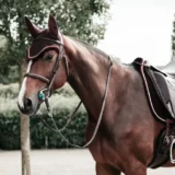 Sottosella in Velluto da Dressage - immagine 13