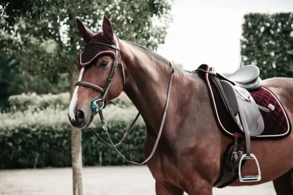 Sottosella in Velluto da Dressage - immagine 13