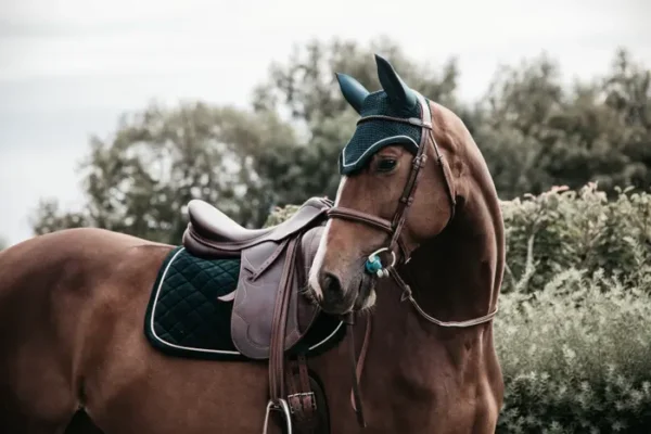 Sottosella in Velluto da Dressage - immagine 4