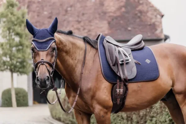 Sottosella Color Edition da Dressage - immagine 19