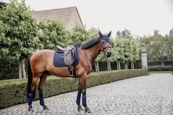 Sottosella Color Edition da Dressage - immagine 20