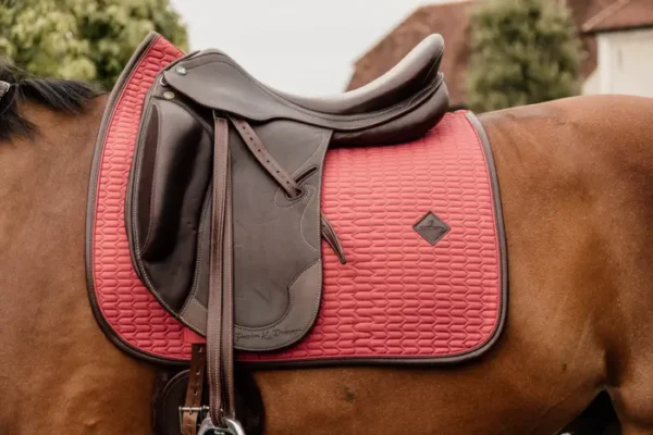 Sottosella Color Edition da Dressage - immagine 5
