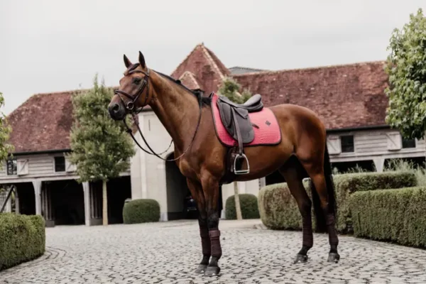 Sottosella Color Edition da Dressage - immagine 10