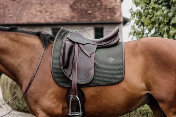 Sottosella Color Edition da Dressage