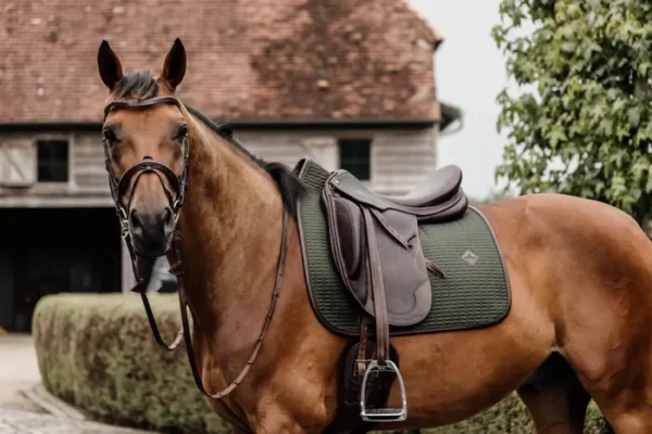 Sottosella Color Edition da Dressage - immagine 4