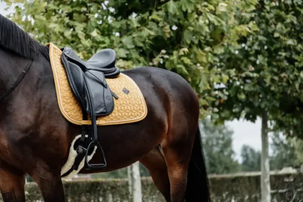 Sottosella Velvet da Dressage - immagine 24