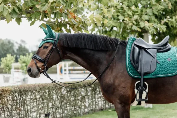Sottosella Velvet da Dressage - immagine 9