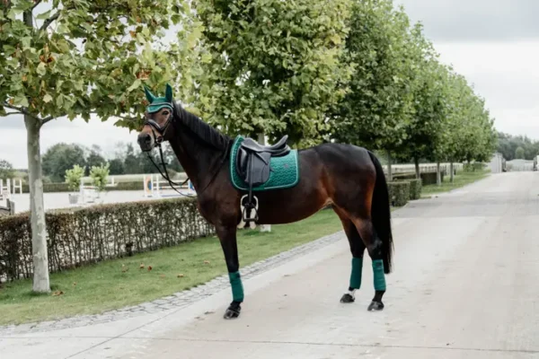 Sottosella Velvet da Dressage - immagine 10