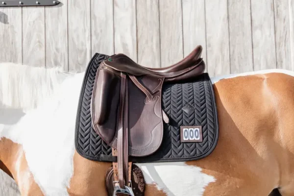 Sottosella Competizione da Dressage