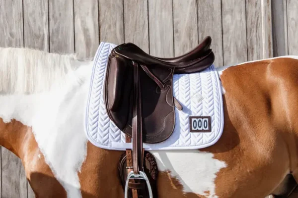 Sottosella Competizione da Dressage - immagine 11