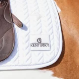 Sottosella Competizione da Dressage - immagine 14