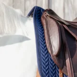 Sottosella Competizione da Dressage - immagine 10