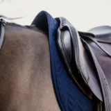 Sottosella Competizione da Salto - immagine 11