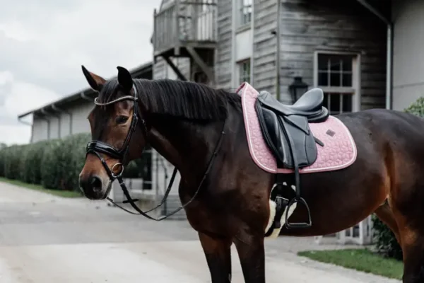 Sottosella in Lana da Dressage - immagine 16
