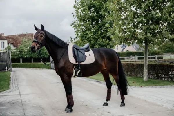 Sottosella in Lana da Dressage - immagine 4
