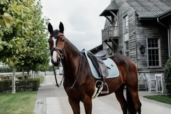 Sottosella in Lana da Dressage - immagine 12