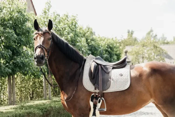Sottosella Pied-de-Poule da Dressage - immagine 4
