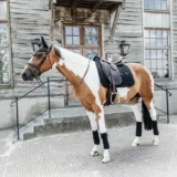 Sottosella Velvet con Perle da Dressage - immagine 5