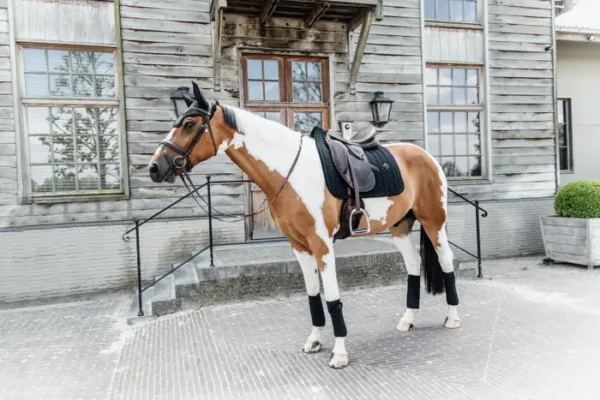 Sottosella Velvet con Perle da Dressage - immagine 5